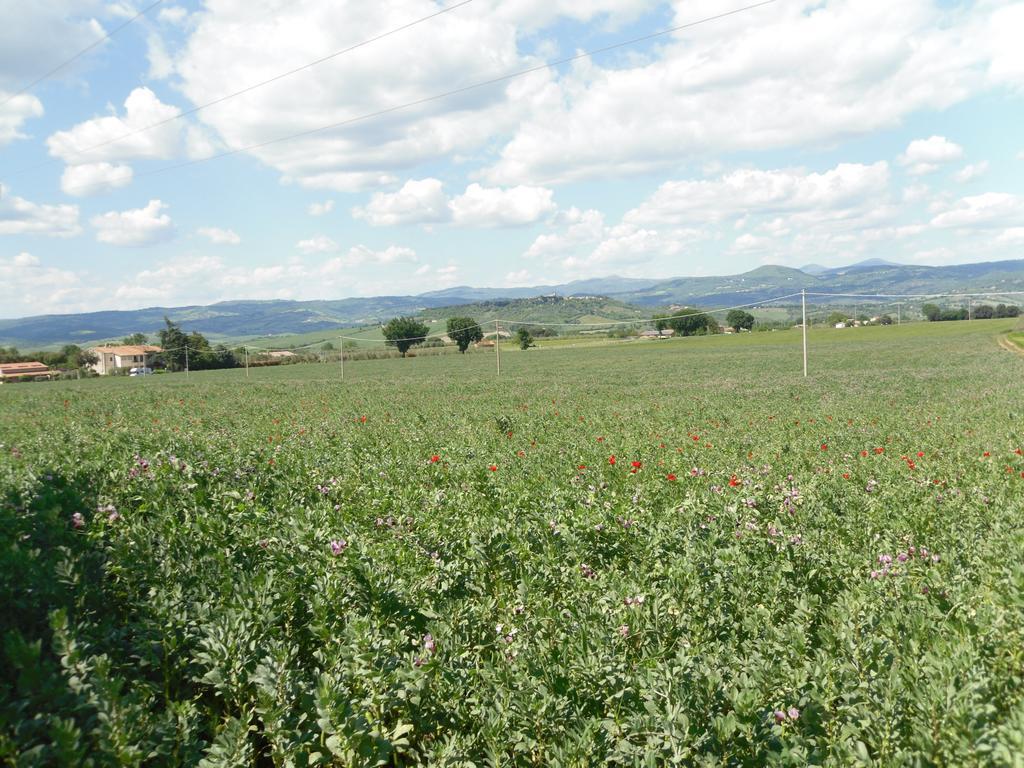 Agriturismo Il Giardino Saturnia Εξωτερικό φωτογραφία