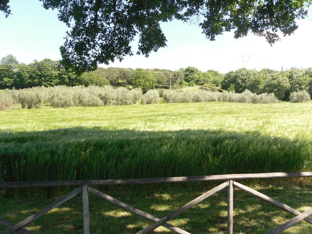 Agriturismo Il Giardino Saturnia Εξωτερικό φωτογραφία