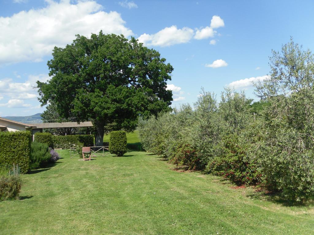 Agriturismo Il Giardino Saturnia Εξωτερικό φωτογραφία